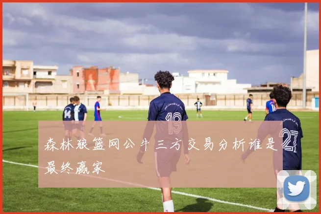 森林狼篮网公牛三方交易分析谁是最终赢家